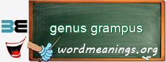 WordMeaning blackboard for genus grampus